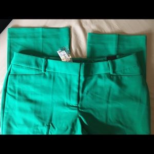 NWT: The Limited Tailored Bootcut Pants Size 16